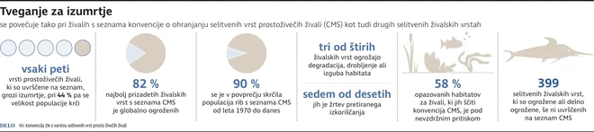 INFOGRAFIKA: Delo