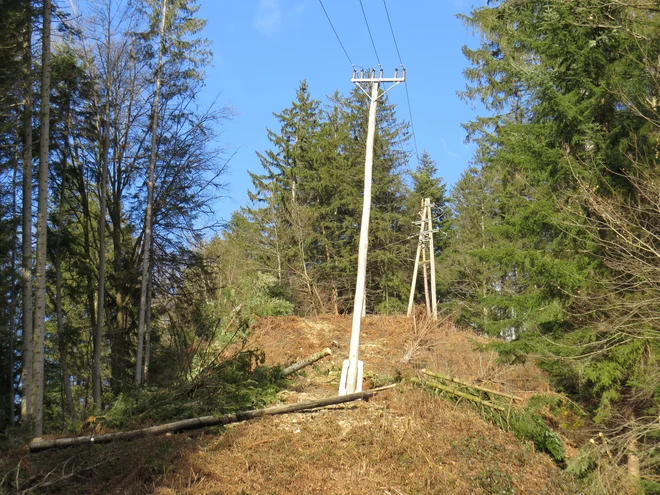 Težave so predvsem na delih, kjer je daljnovod speljan po hriboviti in poraščeni trasi in po gozdu, kot denimo pred naseljem v Ribčah. FOTO: Bojan Rajšek/Delo