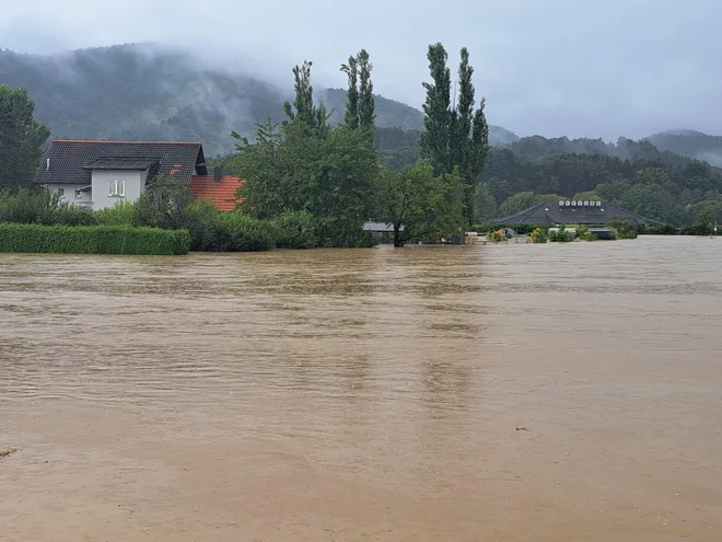 Medlog je bil avgusta pod vodo. FOTO: Špela Kuralt/Delo