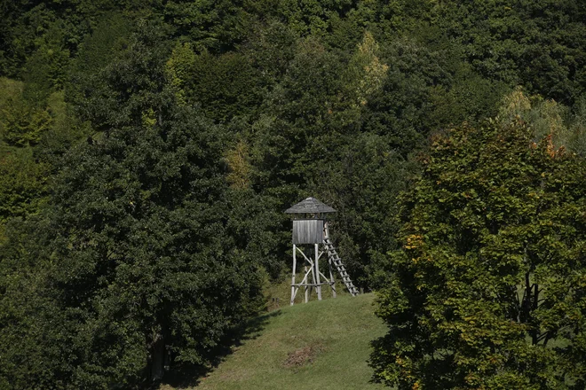 Opazovalnica v svet pripovedi vstopa suvereno in brez amaterizma. FOTO: Hočevar Uroš