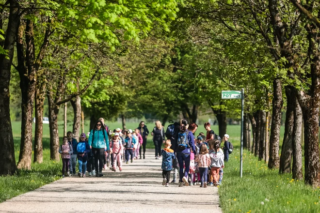 Okoli 70 odstotkov zaposlenih v 23 vrtcih v Ljubljani je proti reorganizaciji. FOTO: Črt Piksi/Delo