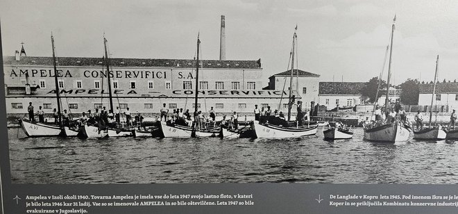 Ampelea je bil bivši Delamaris, s svojo bogato floto ribiških bark, ki so jih takoj po vojni odpeljali v hrvaške kraje. Foto Pomorski Muzej Piran