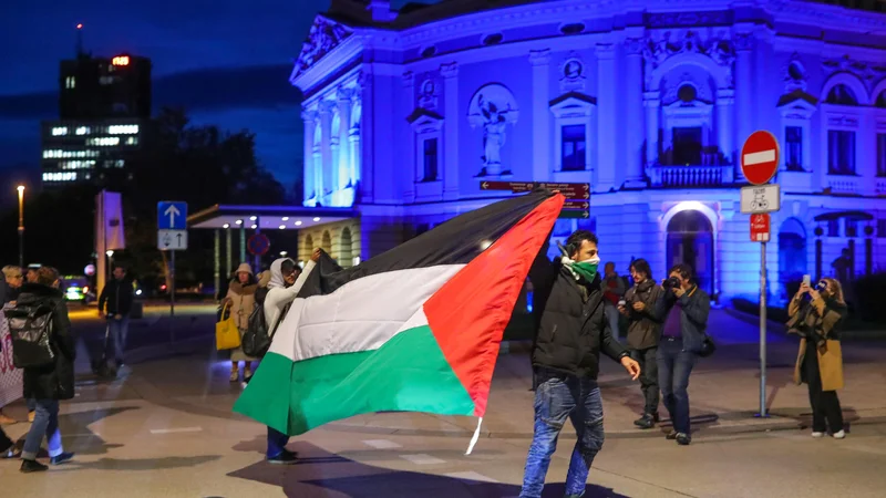 Večina Slovencev dejanja Izraela v Gazi kritično okarakterizira bodisi kot genocid nad palestinskim prebivalstvom bodisi kot kršenje mednarodnega in humanitarnega prava. FOTO: Matej Družnik/Delo