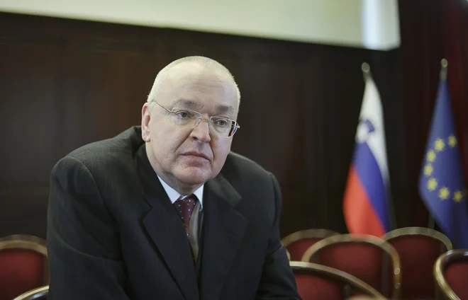 Georg Kodek, predsednik avstrijskega vrhovnega sodišča, poudarja, da ima dejansko oblast vedno izvršna veja oblasti v vseh državah. Da izvrši, kar ji je ustavno sodišče naložilo, pa je del sistema, kako deluje delitev oblasti. FOTO: Jože Suhadolnik/Delo