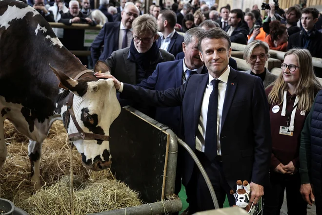 Francoski predsednik Emmanuel Macron se je posvetil kravi Oreillette na 60. mednarodnem kmetijskem sejmu v Parizu. FOTO: Christophe Petit Tesson/Pool via Reuters