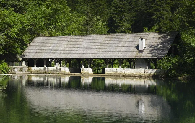 V zadnjem letu Ilirskih provinc pod Napoleonovo vladavino so na Ovčjaškem potoku, znanem tudi kot Klavžarica, zgradili Kanomeljske ali Ovčjaške klavže. FOTO: Gregor Kacin