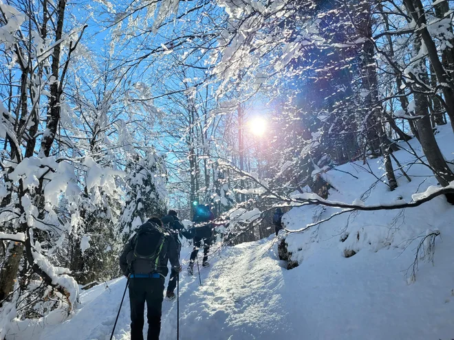 Za obisk gora je treba imeti ne le ustrezno obleko in obutev, ampak tudi tehnično opremo. FOTO: Tina Horvat