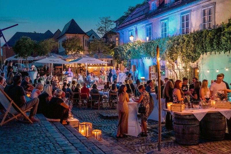 Fotografija: Najstarejša trta na prenovljenem Lentu je družabno stičišče za ljubitelje vina, kulinarike in kulture. FOTO: Klemen Golob/arhiv Visit Maribor