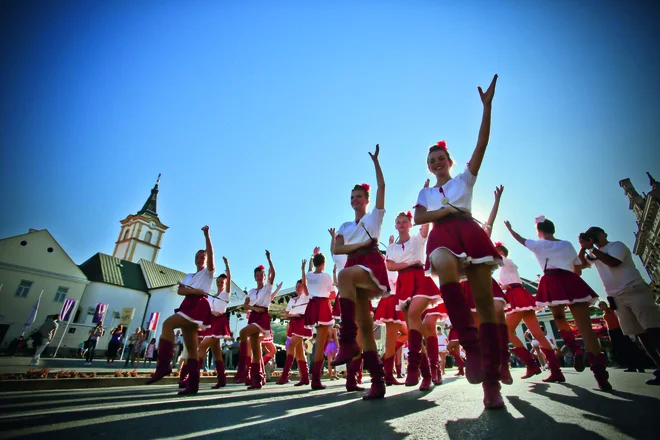 Festival Zlate žice v Požegi FOTO: Danijel Soldo/CROPIX