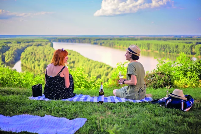 Piknik na Donavi. FOTO: Marko Banić
