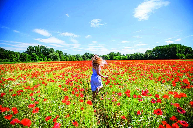 Čudovite pokrajine v Slavoniji kar vabijo k fotograiranju. FOTO: Matija Turkalj