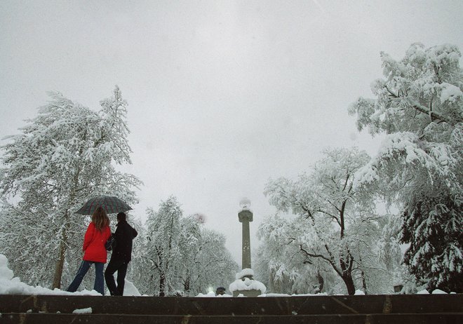 Februar leta 2004 je bil tudi v Ljubljani snežen, meščani so zimsko idilo med drugim našli v Tivoliju. FOTO Dokumentacija Dela