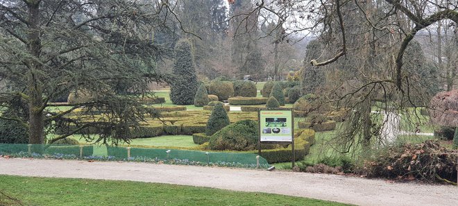 Francoski vrt v Arboretumu je paša za oči v vseh letnih časih. FOTO: Bojan Rajšek/Delo