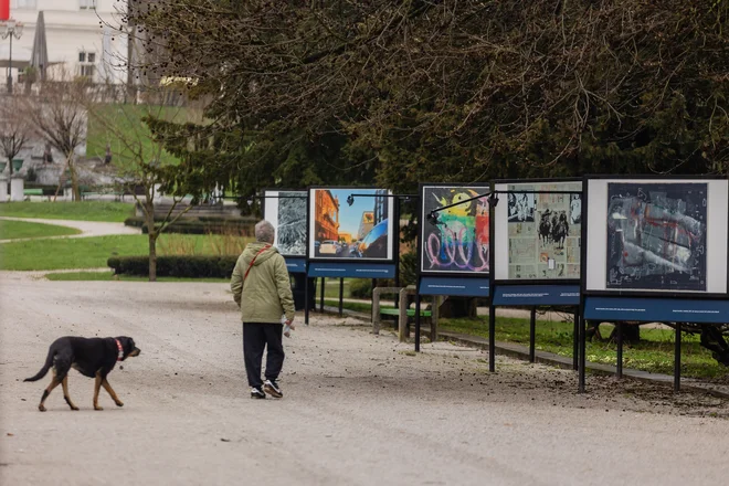 Majski salon je letos razprl paleto na Jakopičevem sprehajališču v Tivoliju. FOTO: Črt Piksi