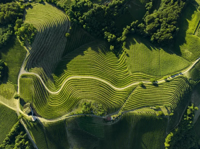 Zelena destinacija, ki izpolnjuje pričakovanja ljubiteljev narave in ekoturizma (Na sliki: Medžimurje, Štrigova). FOTO: Denis Perčić, TS Medžimurske županije