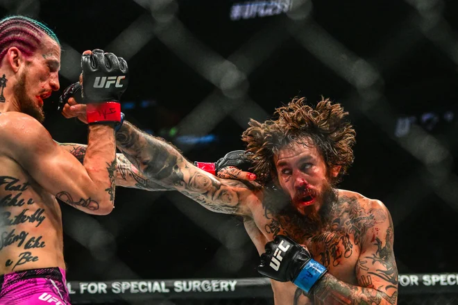 Sedanji prvak Američan Sean O'Malley (L) se bori z Ekvadorcem Marlonom Vero med dvobojem za prvaka UFC v bantamski kategoriji v Kaseya Centru v Miamiju. Sean se je uveljavil ne le s svojimi borbami, ampak tudi s podkasti in drugimi novicami. Pred kratkim je javno povedal, da si v penis vbrizgava matične celice, kar se je, kot si lahko predstavljate, znašlo na naslovnicah. Foto: Giorgio Viera/Afp