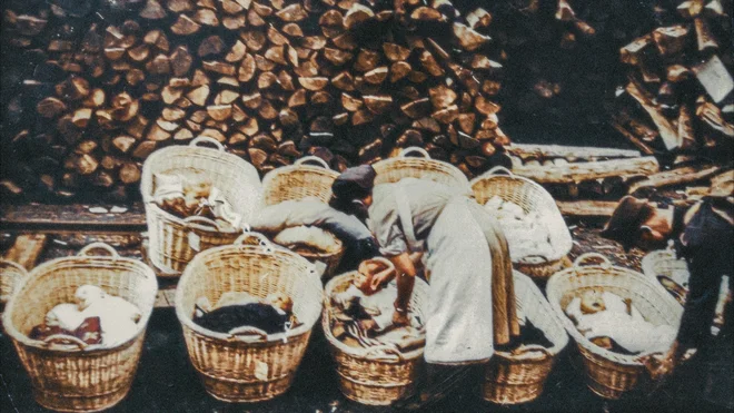 Košarice z dojenčki FOTO: promocijsko gradivo
