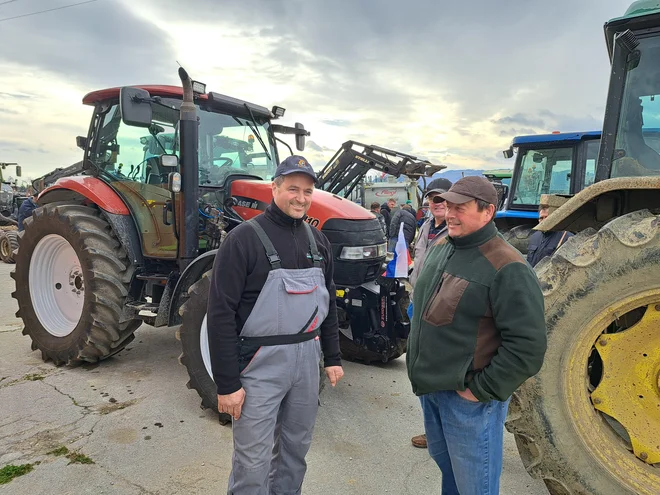 V zadružni zvezi poudarjajo, da bo kmetijska politika lahko dosegla okoljske cilje le, če bo razumela slovensko kmetijstvo, ki ga v večini predstavljajo srednje ali male kmetije. FOTO: Špela Kuralt