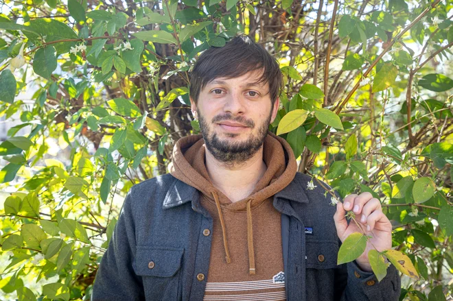 »Velika nevarnost za ptice so tudi visoke stolpnice z odbojnimi stekli, v katera se zaletavajo in so zanje lahko smrtonosna,« pravi orintolog. FOTO: Voranc Vogel