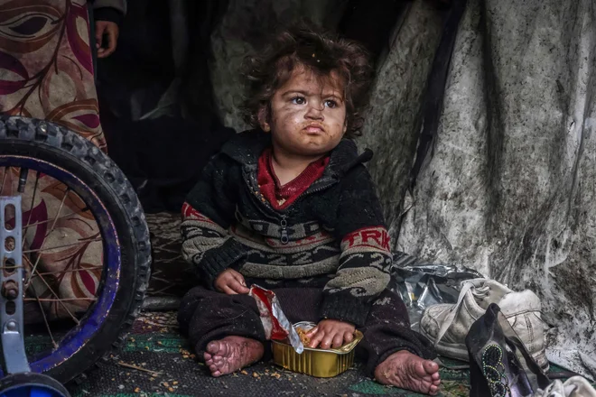 Palestinski otrok je hrano iz konzerve v provizoričnem šotoru v taborišču ob ulici v Rafi. Konflikt med Izraelom in Hamasom, ki divja že od 7. oktobra, je povzročil množične smrti civilistov, obsežna območja so se spremenila v opustošena območja in sprožil opozorila o grozeči lakoti na palestinskem ozemlju z 2,4 milijona prebivalcev. Foto: Mohammed Abed/Afp