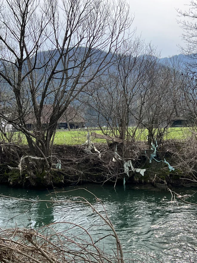 Največjo težavo predstavlja plastika, zlasti folija silažnih bal, ki se je dodobra ovila okoli vej in drevja in jo je zelo težko odstraniti. FOTO: Urša Zgojznik