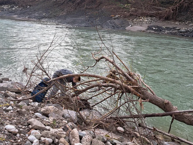 Čistilo je ogromno ribičev, ki so prišli z vseh koncev Slovenije. FOTO: Špela Kuralt/Delo