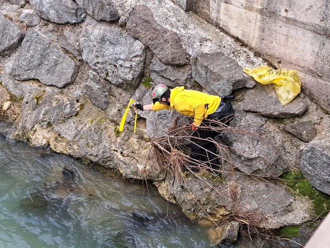 Višje ob Savinji je teren precej težji, kajakaši so bili zato v polni opremi, vključno s čeladami. FOTO: Špela Kuralt/Delo