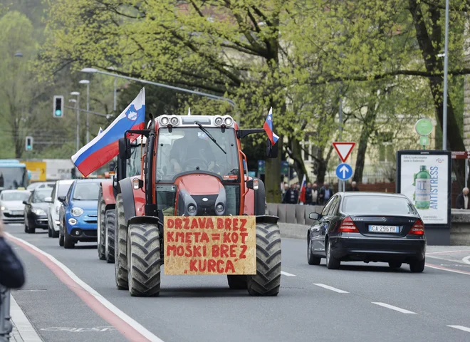 Nejasno ostaja, kako bo s plačilom pristojbin za gozdne ceste, kjer vlada še ni ponudila predloga. FOTO: Jože Suhadolnik/Delo