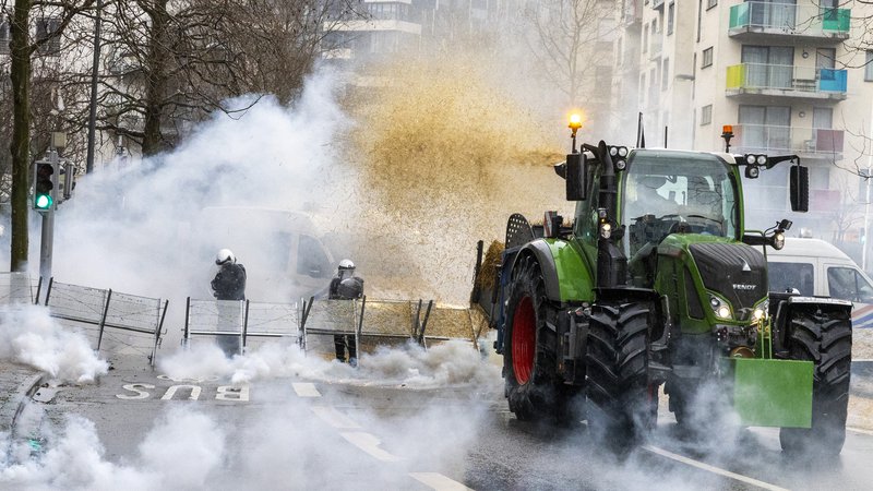 Fotografija: Belgijski kmetje zahtevajo preklic omejitev za onesnaževanje z izpusti iz živinoreje. FOTO: Nicolas Maeterlinck/AFP