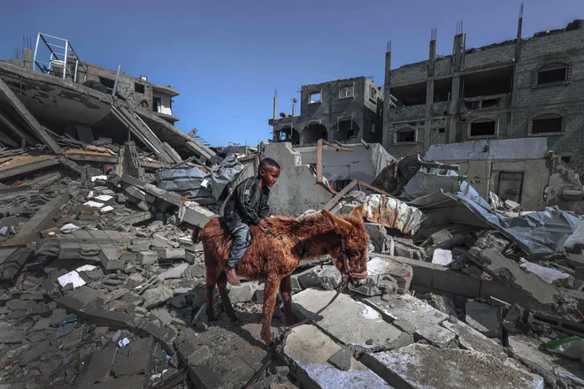 Izraelski premier še naprej zavrača konec vojne pred uničenjem Hamasa in načrtuje ofenzivo na Rafo, kamor se je zateklo več kot milijon Palestincev iz drugih delov Gaze.

Foto Mohammed Abed/AFP