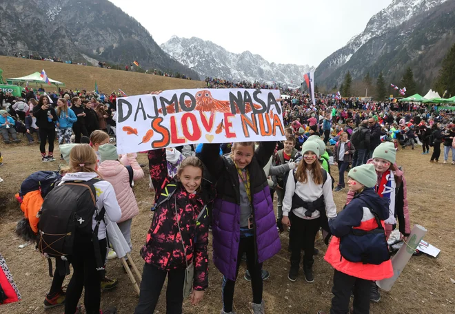 Otroci so glasno spodbujali junake na skakalnih smučeh. FOTO: Dejan Javornik/Delo