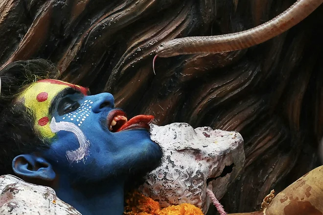 Hindujski vernik drži kačo ob obrazu med verskim sprevodom ob prazniku Masaan ali Bhasma Holi, ki se praznuje s pepelom pogrebnih žgal, v Varanasiju. Foto: Niharika Kulkarni/Afp