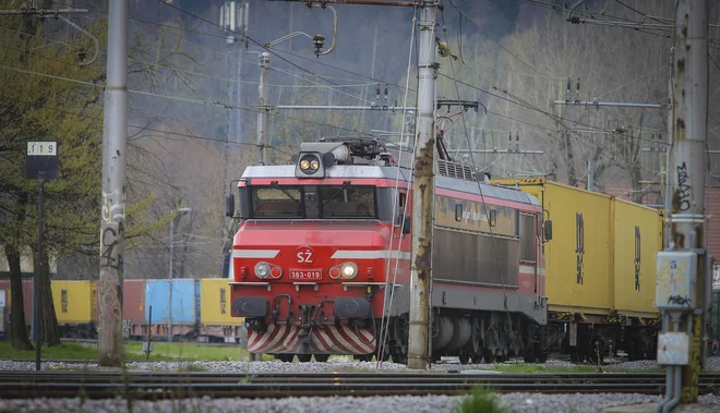 Železnica je ključni gradnik slovenskega logističnega omrežja.

FOTO: Jože Suhadolnik/Delo