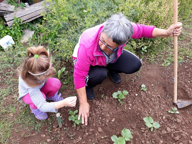 V projektu povprečno aktivno sodeluje 20 prostovoljcev, najmlajša udeleženka je bila stara sedem let, najstarejša pa 85. FOTO: arhiv ZOD