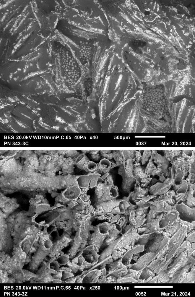 Mikroskopski posnetki ostankov tkanin s pasne garniture vojščaka z negovsko čelado FOTO: Adrijan Košir, ZRC SAZU