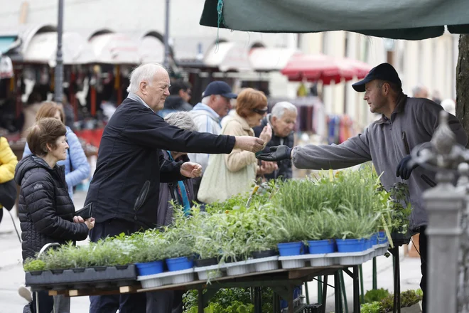 Pri predmetu molekulski mehanizmi staranja na biotehniški fakulteti se študenti seznanjajo z najnovejšimi raziskavami s področja staranja. FOTO: Blaž Samec/Delo