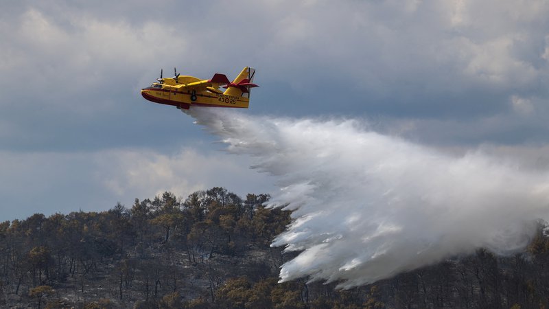 Fotografija: Lani poleti se je Grčija tako kot številni drugi deli Sredozemlja soočila z dolgotrajnim vročinskim valom, v katerem je umrlo 20 ljudi, požari, ki so pustošili po državi, pa so uničili skoraj 175.000 hektarjev površin. FOTO: Alexandros Avramidis/Reuters