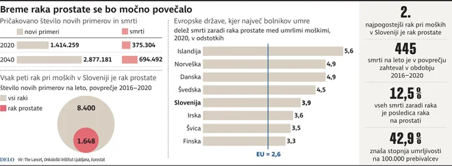 INFOGRAFIKA: Delo