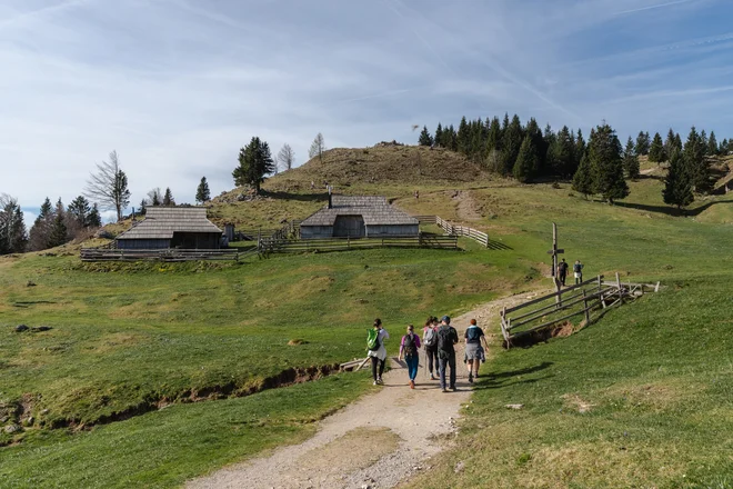 Na poti navzgor proti Mali planini. FOTO: Kaja Ribežl