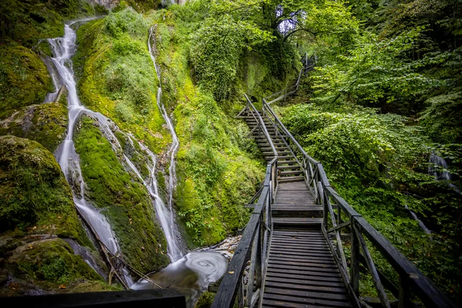 Vrhovi Papuka so se v času Panonskega morja dvigali nad njegovo gladino in delovali kot otoki. FOTO: Julien Duval