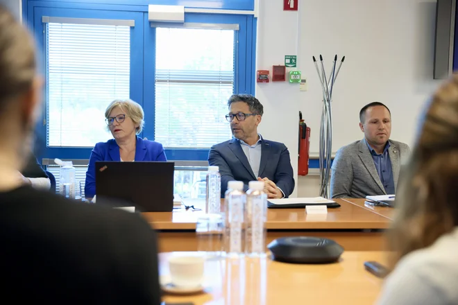 Eden od pomembnih dosežkov projekta je tudi razvoj modula zeleni aluminij. FOTO: Nino Verdnik/Blenda