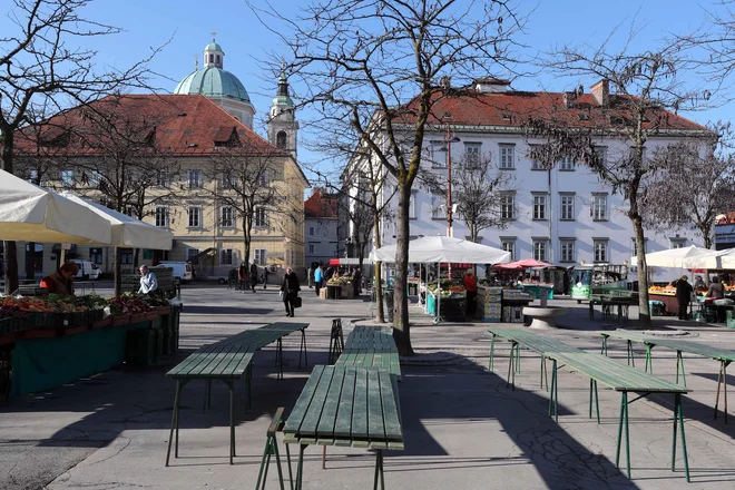 Zgodovinsko in arheološko bogastvo pod Vodnikovim trgom izpričujejo mnogi viri, preliminarne raziskave pa so ga potrdile. FOTO: Igor Mali