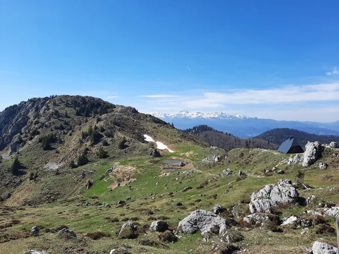 Na Ratitovec se lahko odpravite tudi s Soriške planine. Po uradnih podatkih boste potrebovali tri ure hoje. FOTO: Agata Rakovec Kurent