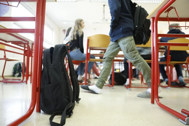 Stroka miri, da je šola še naprej varen prostor in naj otroci vanjo s takim občutkom tudi vstopajo. FOTO: Leon Vidic/Delo