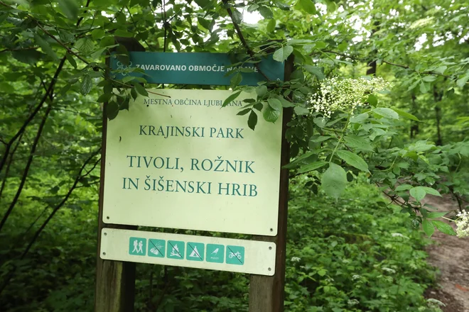 Ker je veliko srnjadi, je v krajinskem parku tudi veliko klopov. Foto Dejan Javornik