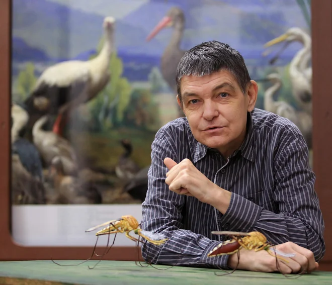 Tomi Trilar: »Velikost populacije gozdnega klopa ni odvisna le od vremena, ampak tudi od velikosti populacije srnjadi in jelenjadi.« Foto Tomi Lombar