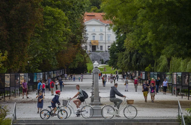 Brez temeljnega soglasja o vrednotah, normah in etičnih drž ni niti v manjših niti v večjih skupnostih mogoče človeka vredno življenje. FOTO: Jože Suhadolnik/Delo