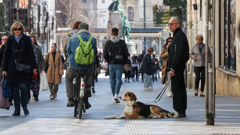 V javni razpravi za pokojninsko reformo bodo zelo verjetno meja za starostno upokojitev pri manj kot štiridesetih letih pokojninske dobe, referenčno obdobje, odmerni odstotek, indeksacija ter postopno izenačevanje prispevnih stopenj zaposlenih in delodajalcev. FOTO: Matej Družnik/Delo