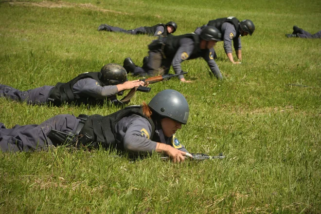 Obe podjetji pričakujeta boljši razvoj in širši nabor izdelkov, tako da bosta skupaj ponudili celovit portfelj v obrambnem sektorju. FOTO: Jure Eržen/Delo