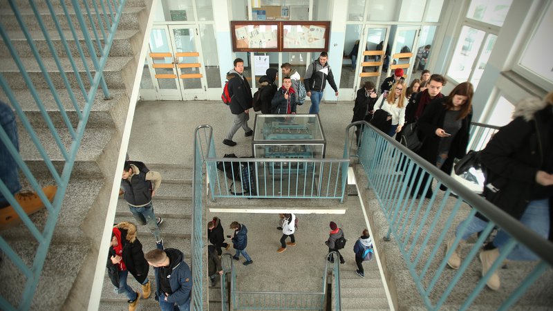 Fotografija: Številne šole po Sloveniji niso prilagojene gibalno oviranim, opozarja zagovornik načela enakosti. FOTO: Jure Eržen